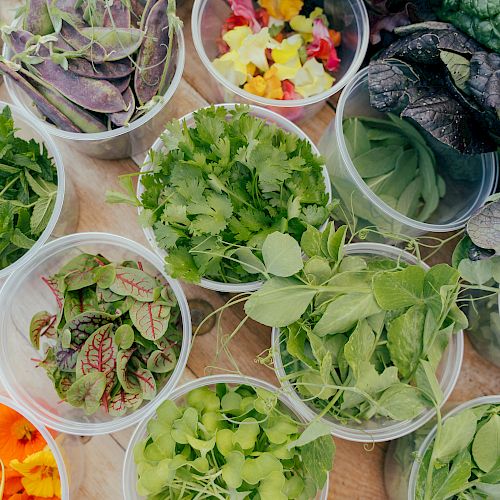 The image shows various fresh herbs, greens, and colorful edible flowers arranged in small clear plastic containers on a wooden surface.