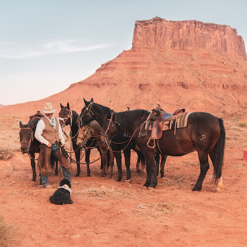 A person with a hat and vest is tending to four horses in a desert landscape; a dog sits nearby, with mesas in the background.