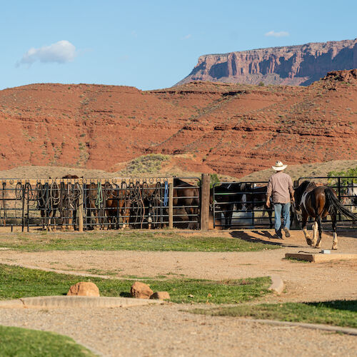 A person guides a horse towards a fenced area with other horses, set against a backdrop of red rock formations and blue sky.