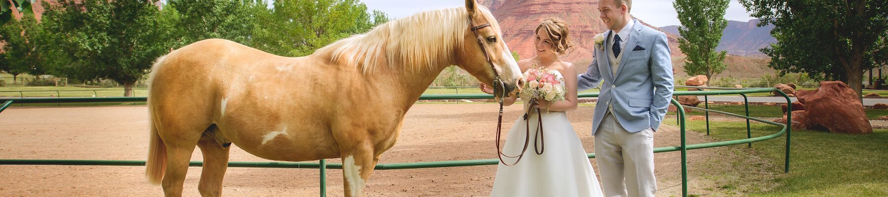 A bride and groom are posing with a light brown horse in an open, scenic area with greenery and mountains in the background.