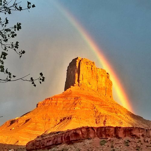 The image shows a rocky butte illuminated by sunlight with a vibrant rainbow appearing behind it under a partly cloudy sky, framed by tree branches.