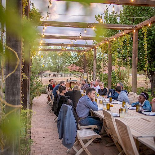 People are dining outdoors under a pergola adorned with string lights, creating a cozy atmosphere in a green, garden-like setting.