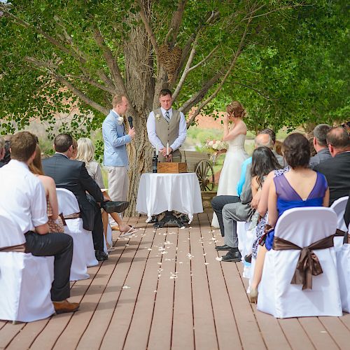 A wedding ceremony is taking place outdoors with guests seated on decorated chairs, facing the couple and officiant under a tree.