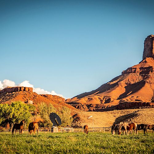 The image shows a scenic landscape with a group of horses grazing on green grass with towering red rock formations in the background and a clear blue sky.
