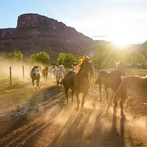 A group of horses running on a dirt path with a mountainous backdrop, surrounded by greenery, under the bright sunlight and clear sky.