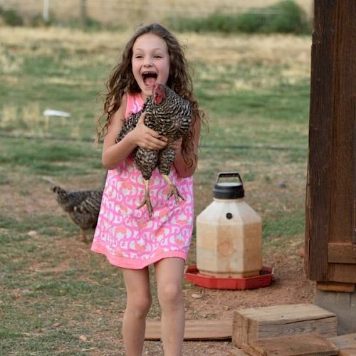 A young girl in a pink dress joyfully holds a chicken near a wooden structure outdoors, with another chicken and a water container in the background.