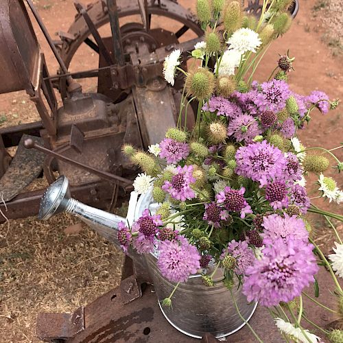 A metal watering can filled with purple and white flowers is placed on a rusty old piece of machinery outdoors.
