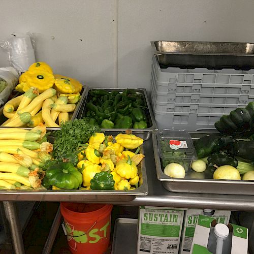 Trays of fresh vegetables including squash, bell peppers, poblano peppers, onions, and greens on a stainless steel table in a kitchen.