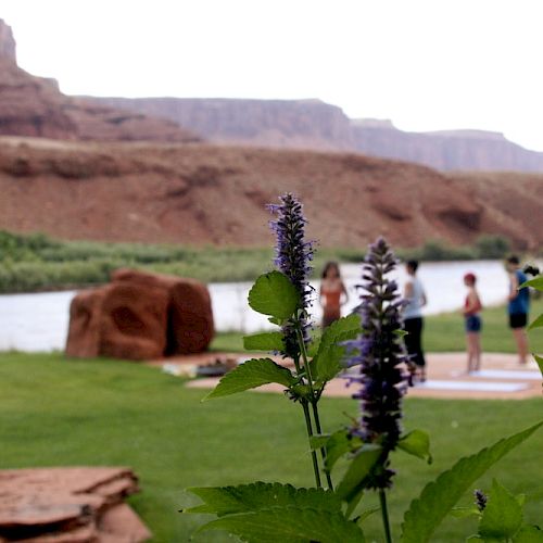 People practicing yoga near a river with rock formations and greenery in the background.