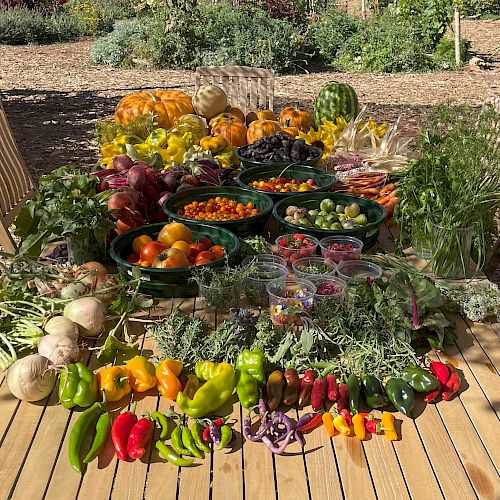 A wooden table is covered with an assortment of colorful vegetables and fruits, surrounded by chairs and garden greenery in the background.