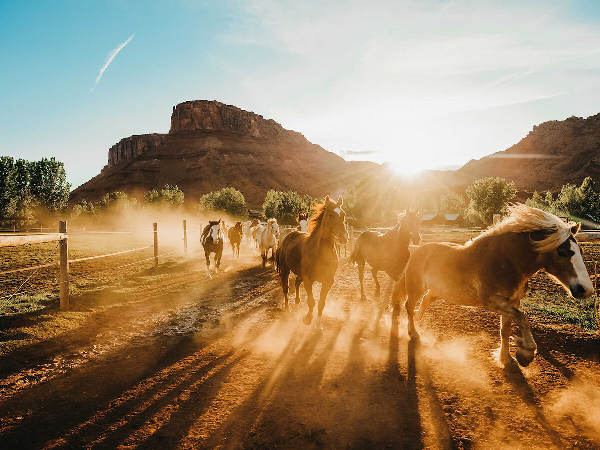Horses running in a dusty corral at sunset, with distant rocky hills and sun rays illuminating the scene.
