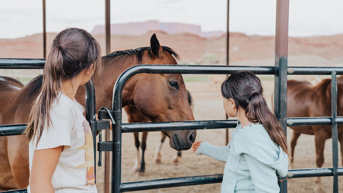 Two children interact with a horse through a fence in a rural setting.