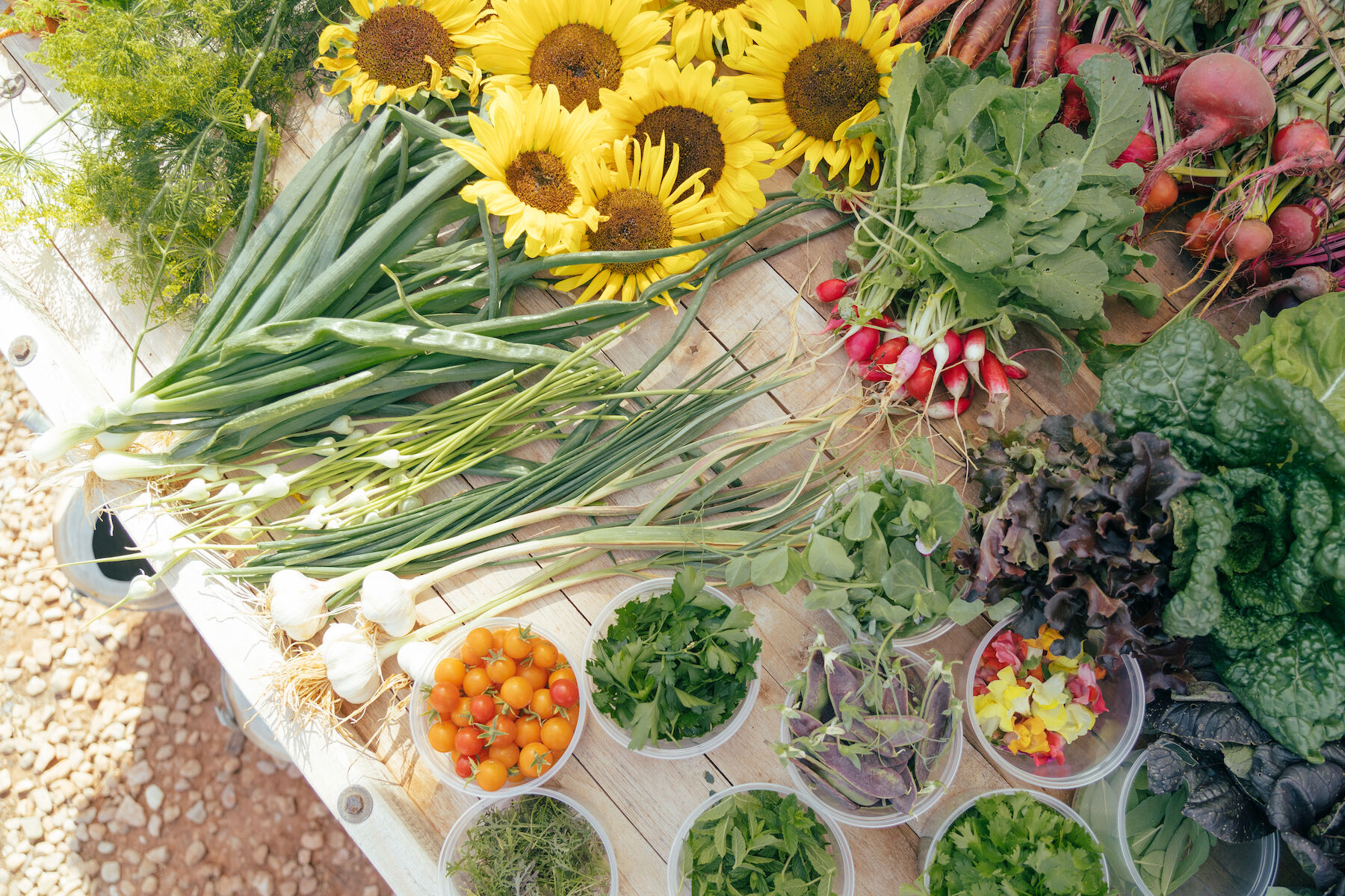 The image shows an arrangement of fresh vegetables, greens, and sunflowers on a table. Small containers hold herbs and edible flowers.