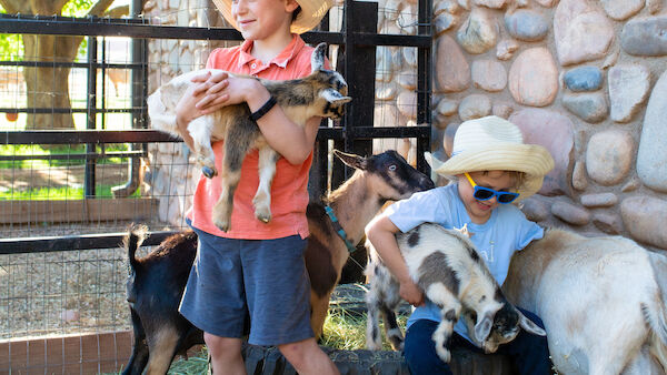 Two kids in hats with goats outside a stone building, one holding a goat, the other surrounded by goats, sitting on a hay bale.