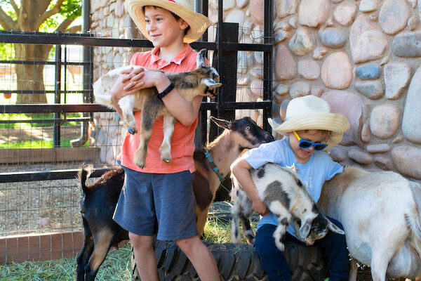 Two kids in hats with goats outside a stone building, one holding a goat, the other surrounded by goats, sitting on a hay bale.