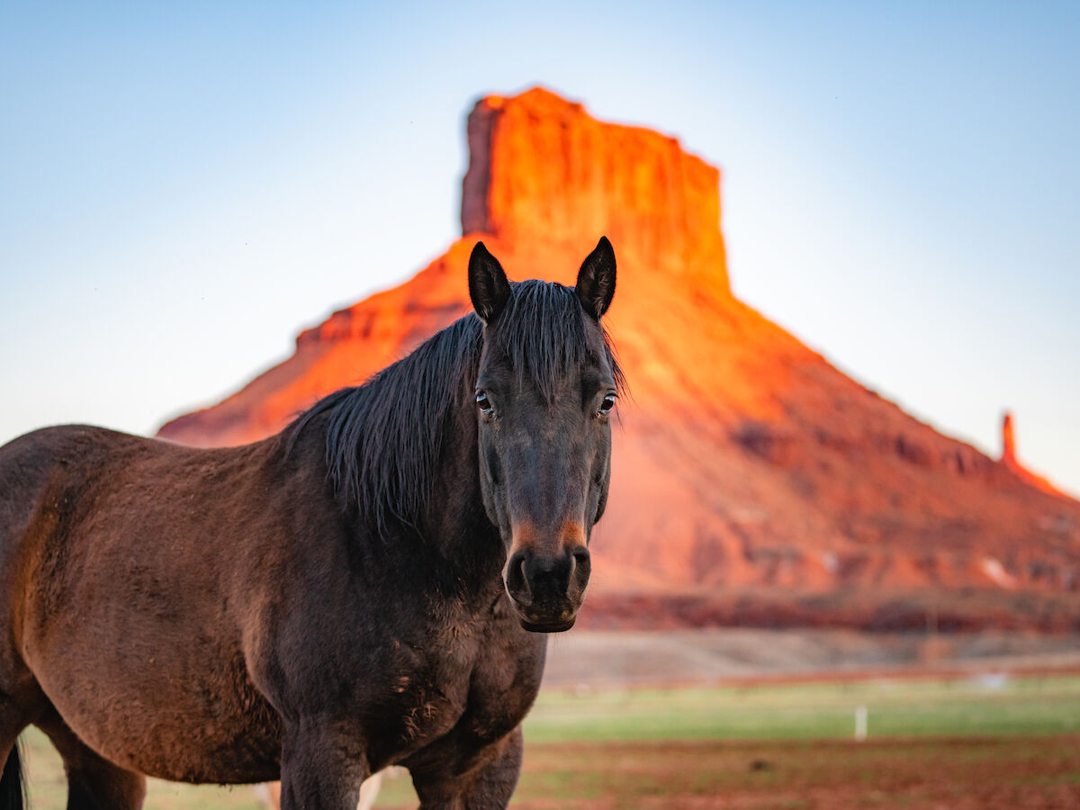 Sorrel River Ranch Resort and Spa