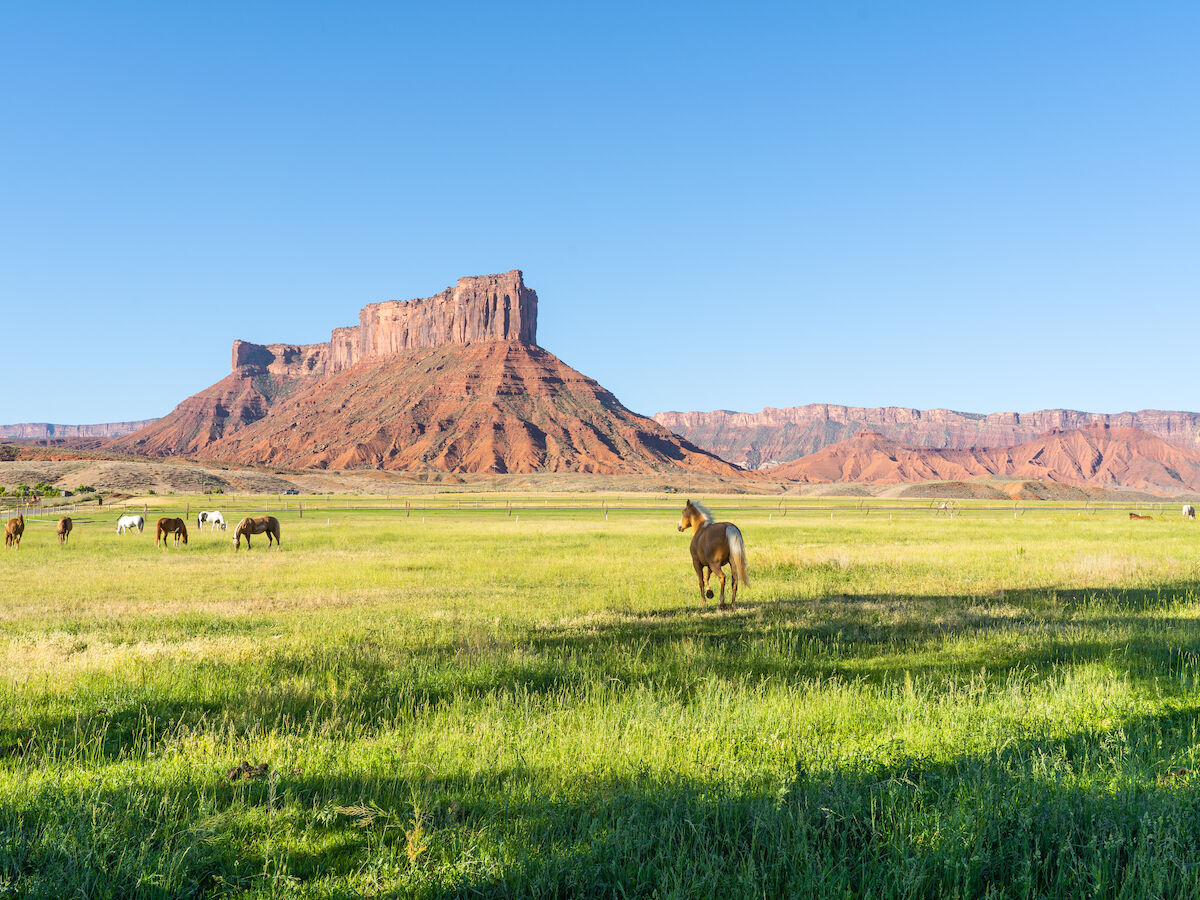 Sorrel River Ranch Resort and Spa