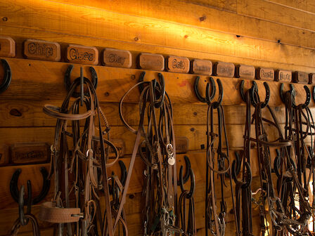 This image shows a wooden wall with horse tack hanging, including bridles and reins, beneath labeled hooks, each marked with horse shoes.