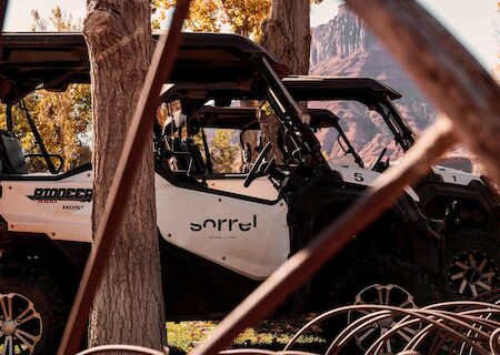 The image shows off-road vehicles parked among trees on a sunny day, with mountains visible in the background.